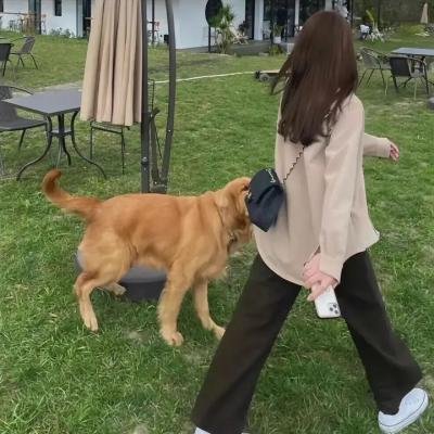 亲爱的孩子